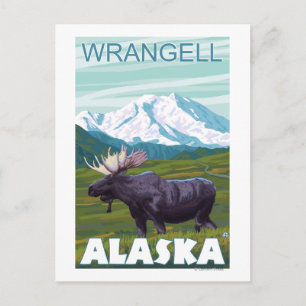 Carte Postale Scène de l'orignal - Wrangell, Alaska
