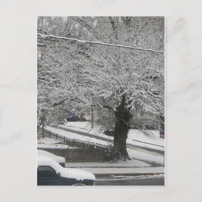 Carte Postale Scène De Neige (Devant)