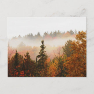 Carte Postale Scène de paysage d'automne dans les Adirondacks