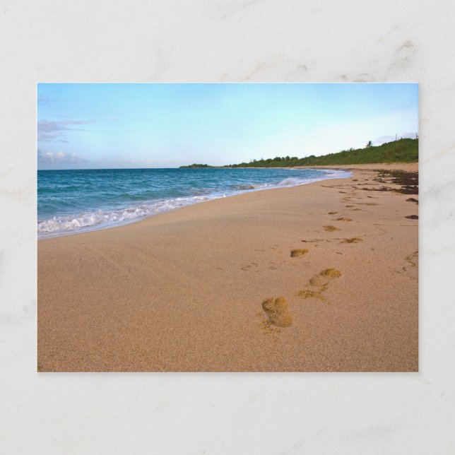 Carte Postale Scène De Plage Tropicale (Devant)
