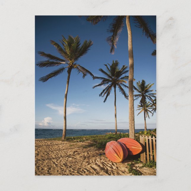 Carte Postale Scène de plage tropicale (Devant)