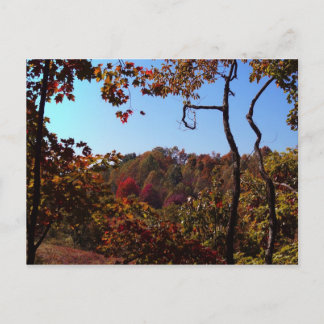 Carte Postale "Scène des feuilles d'automne"