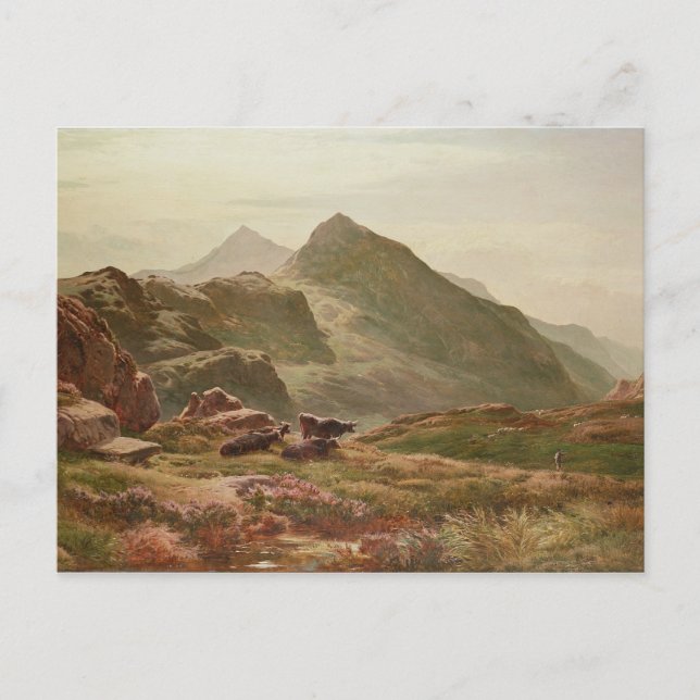 Carte Postale Scène des Highlands (Devant)