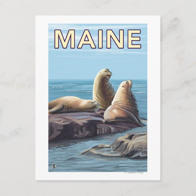Carte Postale Scène des lions de MaineSea (Devant)