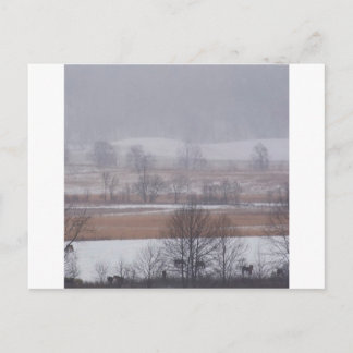 Carte Postale Scène d'hiver Cades Cove Great Smoky Mountains