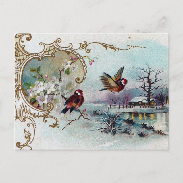 Carte Postale Scène d'oiseaux (Devant)