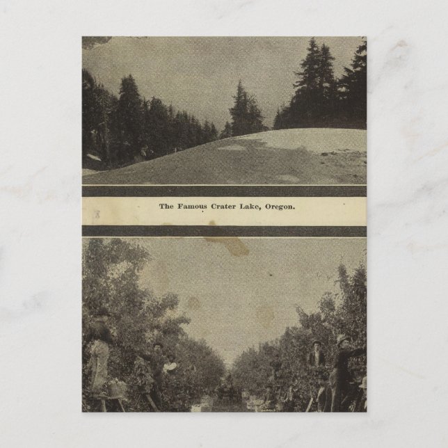 Carte Postale Scène du Crater Lake Oregon Orchard (Devant)