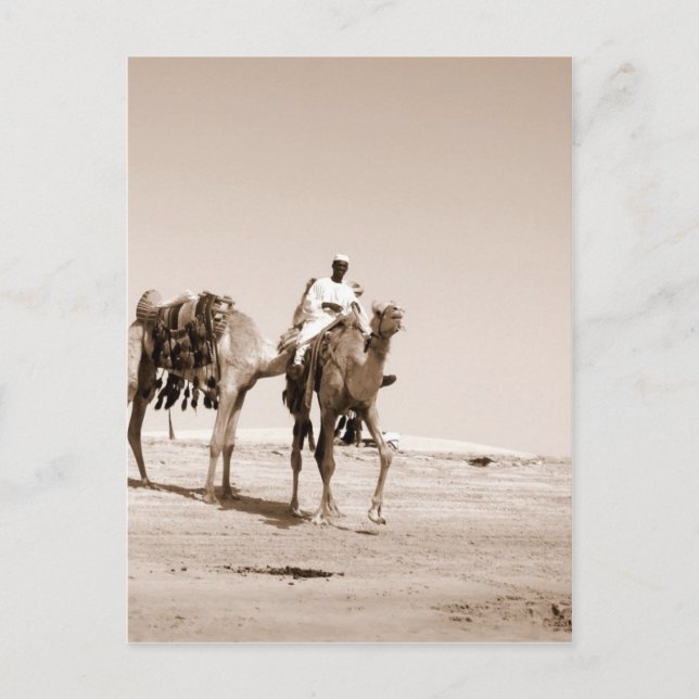 Carte Postale Scène du désert (Devant)