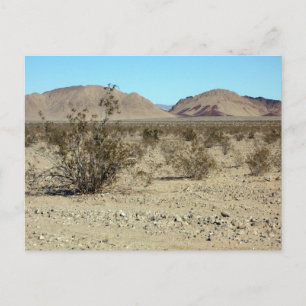 Carte Postale Scène du désert de Mojave 02