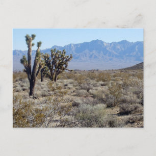 Carte Postale Scène du désert de Mojave 03