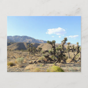 Carte Postale Scène du désert de Mojave 04