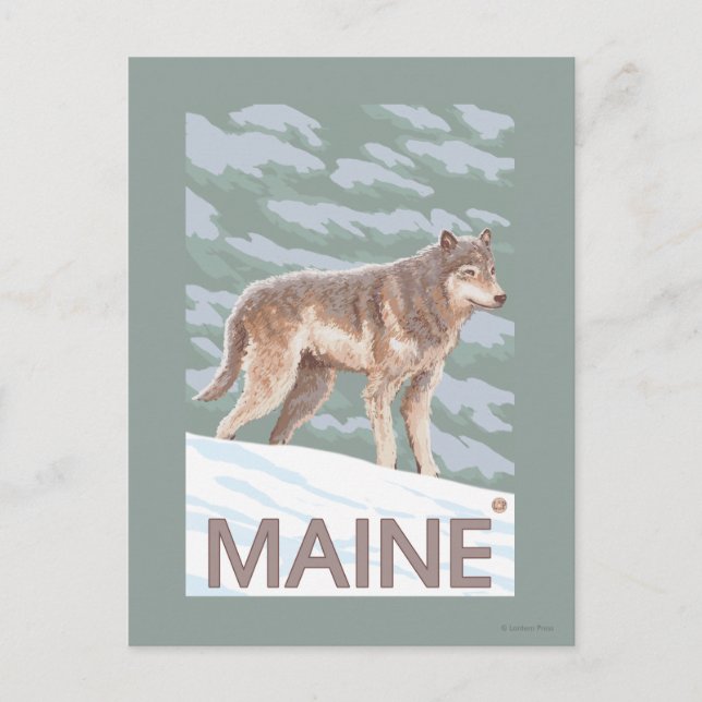 Carte Postale Scène du MaineWolf (Devant)