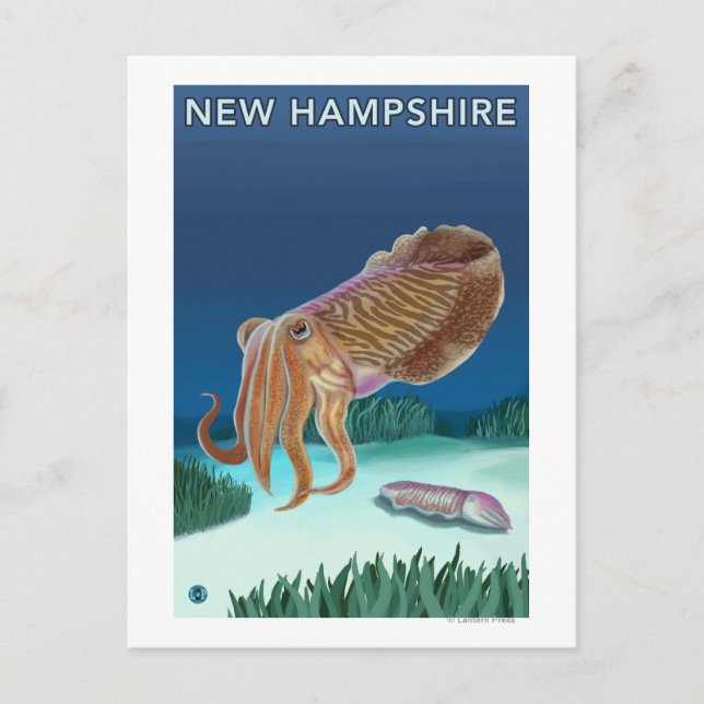 Carte Postale Scène du New HampshireCuttlefish (Devant)