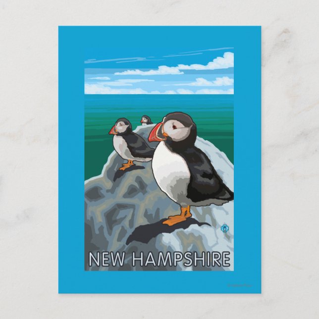 Carte Postale Scène du New HampshirePuffins (Devant)