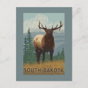 Carte Postale Scène Elk Dakota du Sud