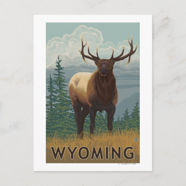 Carte Postale Scène ElkWyoming (Devant)