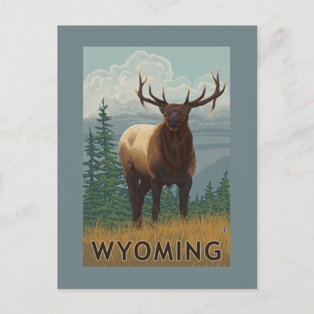 Carte Postale Scène ElkWyoming (Devant)