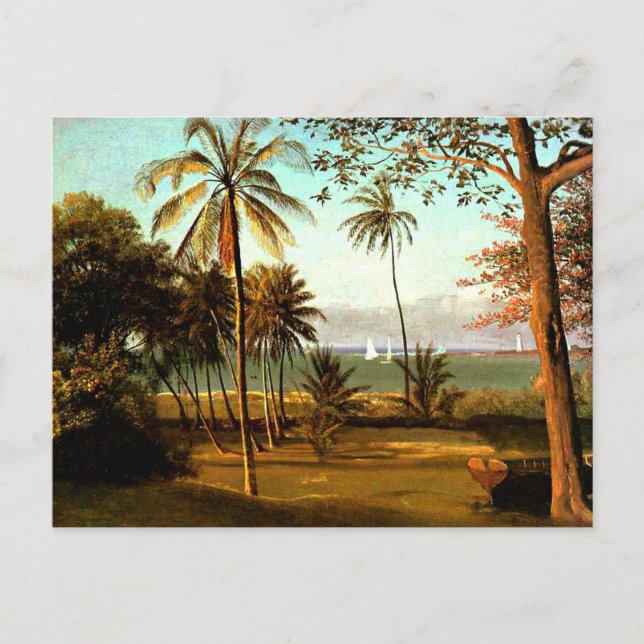 Carte Postale Scène en Floride par Albert Bierstadt (Devant)