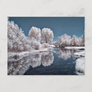 Carte Postale Scène hivernale