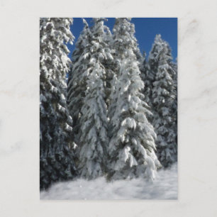 Carte Postale Scène hivernale