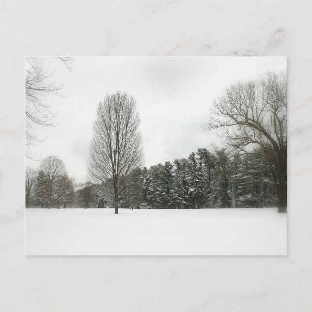 Carte Postale Scène hivernale (Devant)
