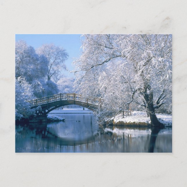 Carte Postale Scène hivernale (Devant)