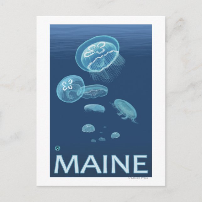 Carte Postale Scène MaineJellyfish (Devant)