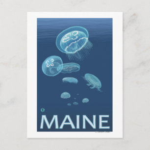 Carte Postale Scène MaineJellyfish