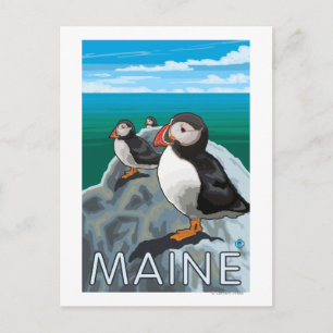 Carte Postale Scène MainePuffins