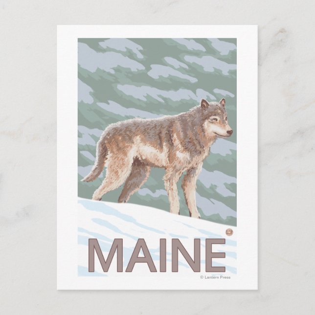 Carte Postale Scène MaineWolf (Devant)