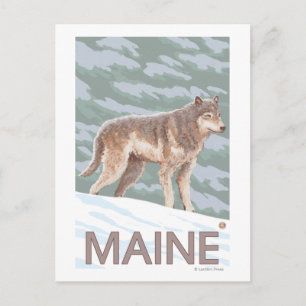 Carte Postale Scène MaineWolf