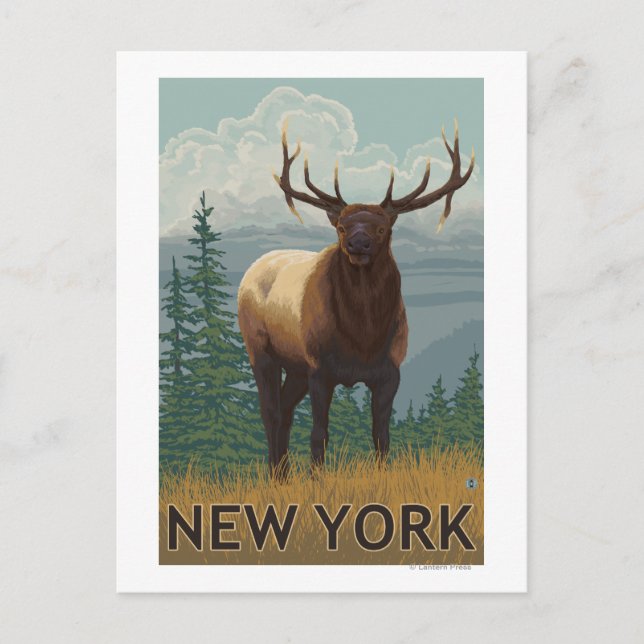 Carte Postale Scène New YorkElk (Devant)