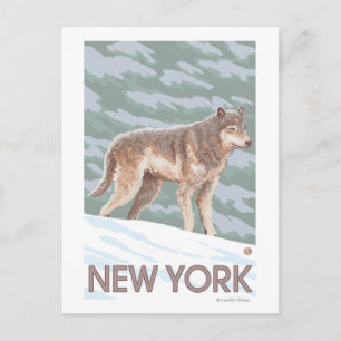 Carte Postale Scène New YorkWolf