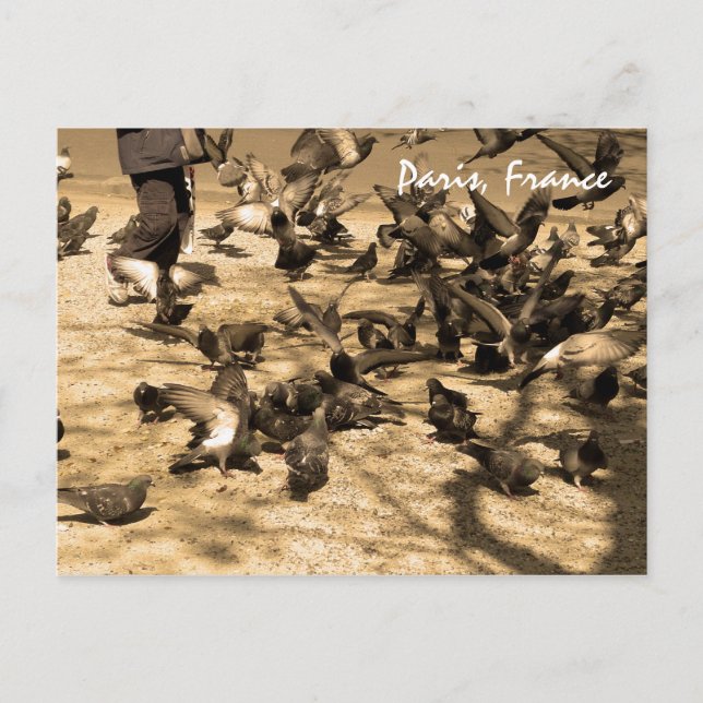 Carte Postale Scène parisienne typique (Devant)