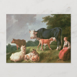 Carte Postale Scène pastorale