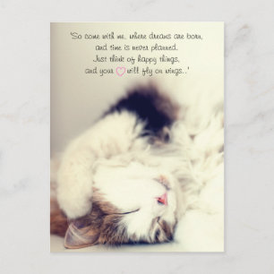 Carte Postale Scène romantique de chat endormi J.M. Barrie citat