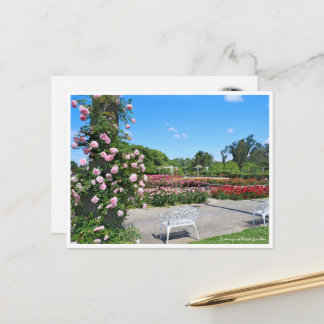 Carte Postale Scenery of Rose Garden ポストカード