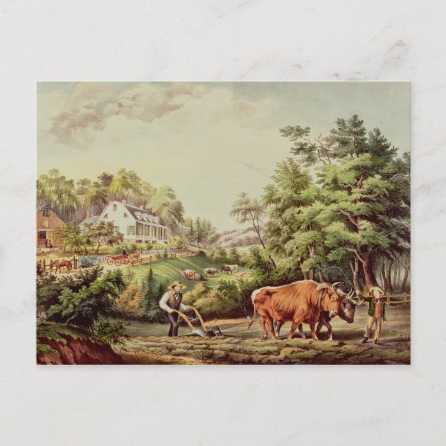 Carte Postale Scènes américaines de ferme (Devant)