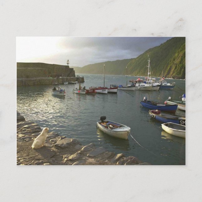 Carte Postale Scènes anglaises, Clovelly Harbour Devon, (Devant)