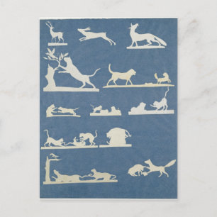 Carte Postale Scènes animales et jeu de chats