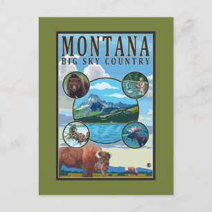 Carte Postale Scènes d'état du Montana