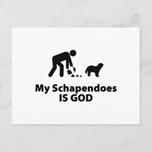 Carte Postale Schapendoes