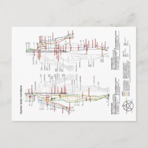 Carte Postale Schéma chinois Corps humain Méridiens