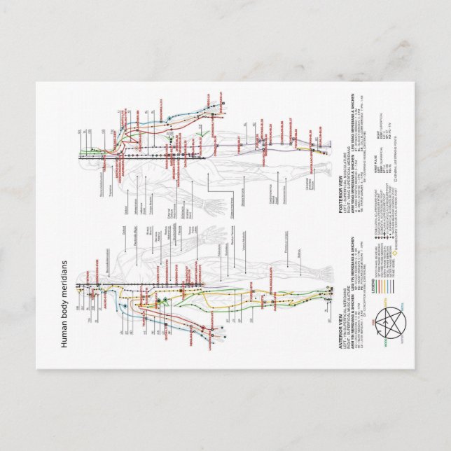 Carte Postale Schéma chinois Corps humain Méridiens (Devant)