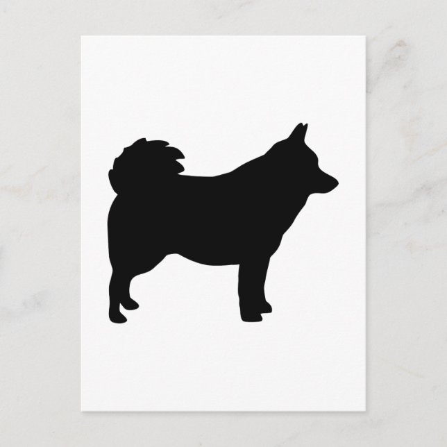 Carte Postale Schipperke (Devant)