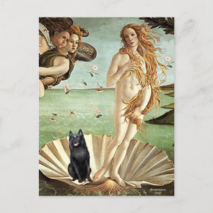 Carte Postale Schipperke 5 - Naissance de Vénus