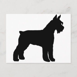 Carte Postale Schnauzer géant (noir)