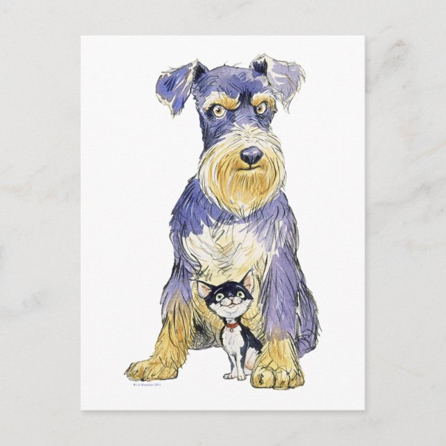 Carte postale Schnauzer & Kitten (Devant)