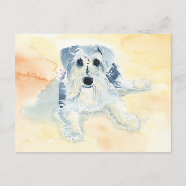 Carte Postale Schnauzer Mia (Devant)