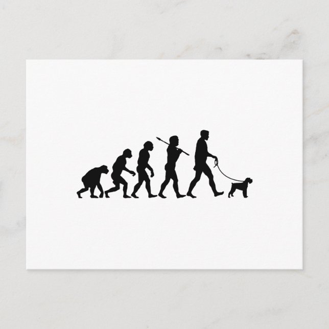 Carte Postale Schnauzer miniature (Devant)